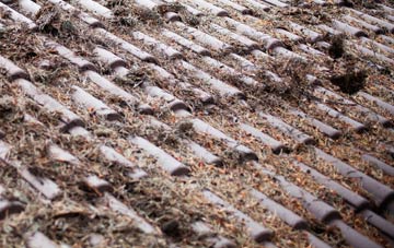 East Bergholt roof cleaning companies